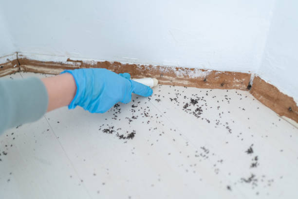 Best Pest Control for Multi-Family Homes  in Patton Village, TX